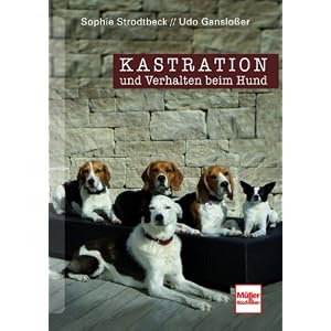 Kastration und Verhalten beim Hund