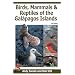 Birds, Mammals, and Reptiles of the Galapagos Islands: An Identification Guide, 2nd Edition