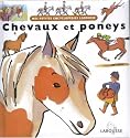 CHEVAUX ET PONEYS