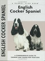 English Cocker Spaniel