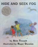 Hide and Seek Fog (Mulberry Books)