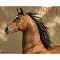 Horses . . in 2012 Calendars ! *