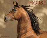 Horse a Portrait 2012 Calendar