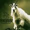Doom Metal - The Best Metal