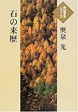石の来歴 (大活字本シリーズ)