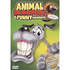 Animal Bloopers & Funny Moments by 