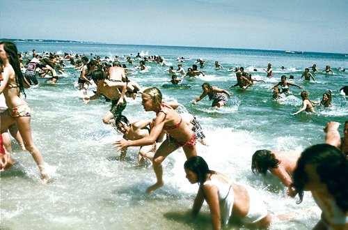Jaws