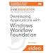 Developing Applications with Windows Workflow Foundation (WF) (Video Training)