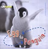 Egg to penguin
