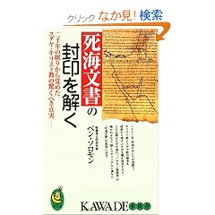 ���C�����̕���������\���N�̖��肩��o�߂����_���E�L���X�g���̋����ׂ��^�� (KAWADE���V��)