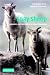 Soay Sheep: Dynamics and Selection in an Island Population