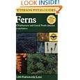 Peterson Field Guide to Ferns, Second Edition: Northeastern and Central North America (Peterson Field Guides (R))