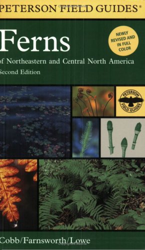 Central America
