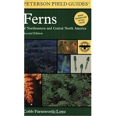 Peterson Field Guide to Ferns, Second Edition: Northeastern and Central North America
