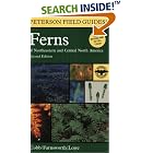 Click here to buy Peterson Field Guide to Ferns, Second Edition: Northeastern and Central North America (Peterson Field Guides (R)) by  Boughton Cobb, Cheryl Lowe, and Elizabeth Farnsworth.