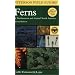 Peterson Field Guide to Ferns, Second Edition: Northeastern and Central North America
