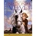 Read Children's and YA Books About Horses