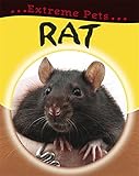 Rat