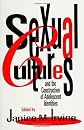 Sexual Cultures and the Construction of Adolescent Identities (Health, Society, and Policy)