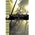 Last Voyage of Captain Cook: The Collected Writings of John Ledyard (National Geographic Adventure Classics)