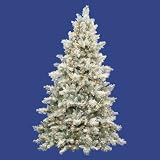 9' Pre-Lit Frosted Idaho Pine Christmas Tree - Clear Lights