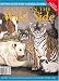 Hooked on the Wild Side: Everything You Need to Know to Hook Realistic Animals (Rug Hooking Magazine's Framework)