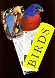 Birds: Wild Birds of North America : Appearance, Habits & Habitat (Fandex Family Field Guides)