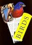 Birds (Fandex Family Field Guides)