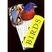Birds (Fandex Family Field Guides)