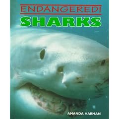 Sharks (Endangered)