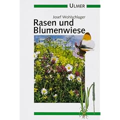Rasen und Blumenwiese