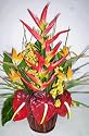 26" Tropical Heliconia, Antherium & Bird