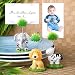 Jungle Critters Collection Place Card Holders, 1