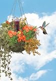Hummingbird Basket Planter Feeder