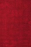 Chenille Shag Rug 2'x3' Red