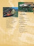 Produkt-Bild: Wasserschildkr&ouml;ten
