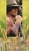 Search : Little House on the Prairie - The Richest Man in Walnut Grove/Town Party-Country Party