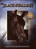 Adventures of the Black Stallion: Season Two 2 [DVD] [Region 1] [US Import] [NTSC]