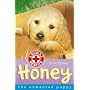 Honey: The Unwanted Puppy (Animal Rescue)