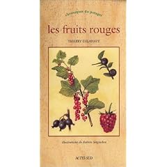 Les Fruits rouges