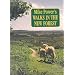 Mike Power's Walks in the New Forest