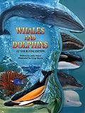 Whales and Dolphins (At Your Fingertips (McClanahan))