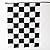 12" x 18" Cloth Racing Flags