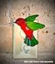 Switchables Stained Glass Hummingbird Nightlight Cover