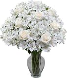 Ivory Queen without Vase