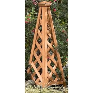 Bancroft Pyramid Obelisk, 49Hx16.5SQ, CEDAR by 
