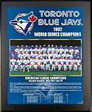 1992 Toronto Blue Jays World Series Champions 13 x 16 Plaque from Healy Pro