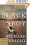 Black Boy: A Record of Childhood and Youth