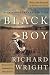 Books : Black Boy: A Record of Childhood and Youth