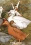 Domestic Ducks and Geese (Shire Library)